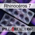 Rhinocéros 7 31